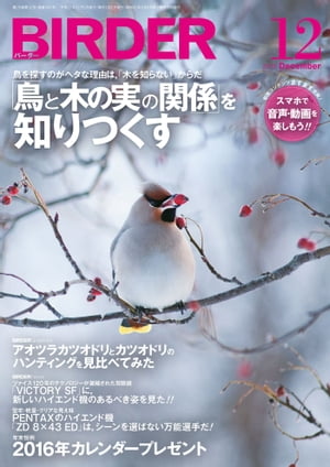 BIRDER2015年12月号