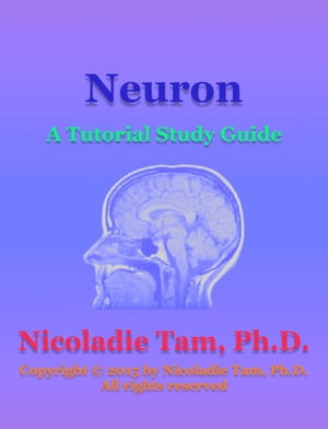 Neurons: A Tutorial Study Guide