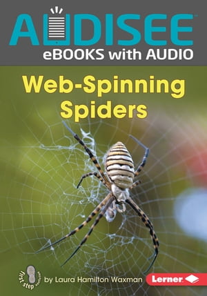 Web-Spinning Spiders