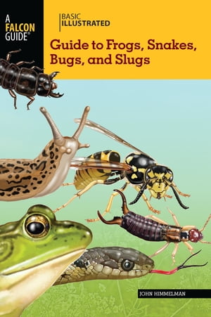 Basic Illustrated Guide to Frogs, Snakes, Bugs, and Slugs