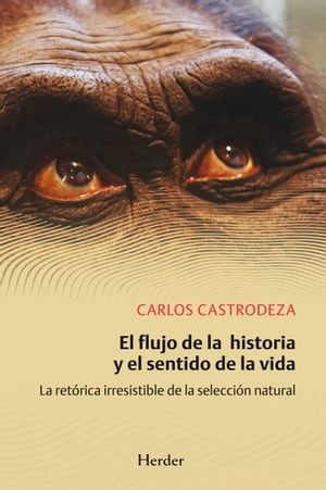 El flujo de la historia y el sentido de la vida