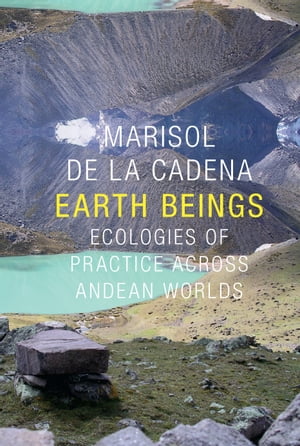 Earth Beings Ecologies of Practice across Andean Worlds