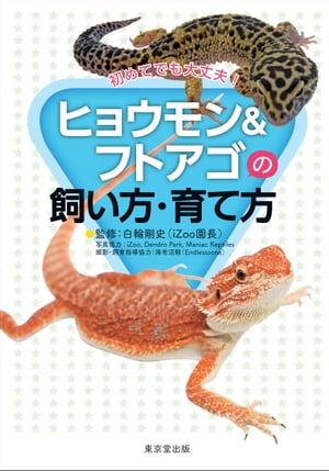 初めてでも大丈夫！ヒョウモン＆フトアゴの飼い方・育て方