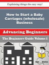 How to Start a Baby Carriages (wholesale) Business (Beginners Guide) How to Start a Baby Carriages (wholesale) Business (Beginners Guide)