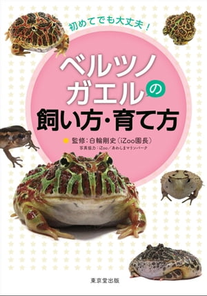 初めてでも大丈夫！ベルツノガエルの飼い方・育て方