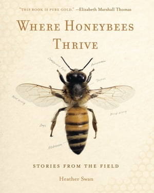 Where Honeybees Thrive Stories from the Field