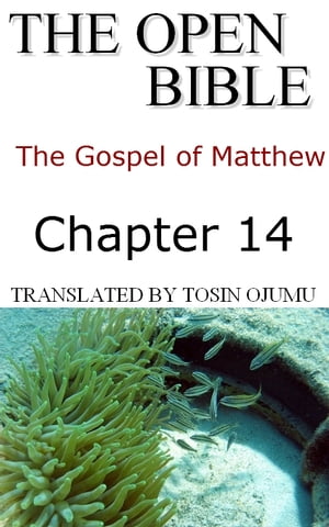 The Open Bible: The Gospel of Matthew: Chapter 14