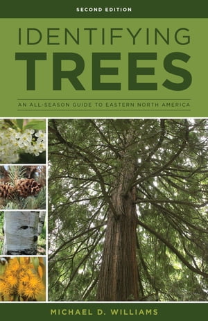 Identifying Trees of the East An All-Season Guide to Eastern North America