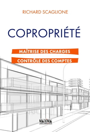 Copropri?t? ma?trise des charges et contr?le des comptes