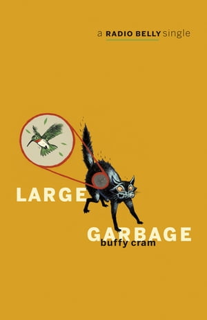 Large Garbage A Radio Belly Single【電子書