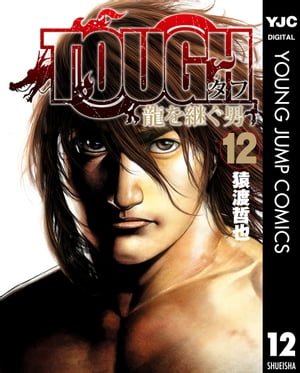 TOUGH 龍を継ぐ男 12