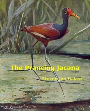 The Prancing Jacana