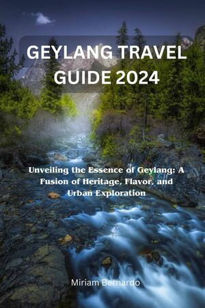 GEYLANG TRAVEL GUIDE 2024