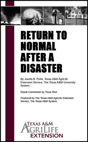 Return to Normal After a Disaster