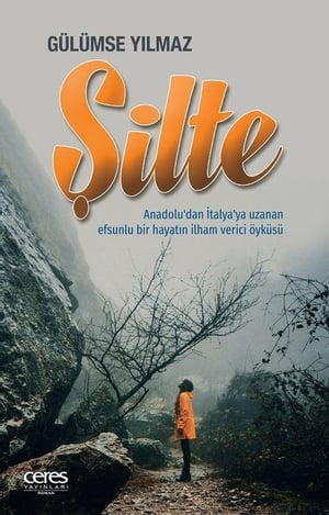 Şilte