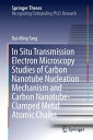 In Situ Transmission Electron Microscopy Studies of Carbon Nanotube Nucleation M...