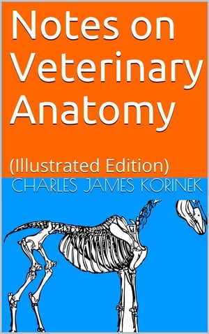 ŷKoboŻҽҥȥ㤨Notes on Veterinary Anatomy (Illustrated EditionŻҽҡ[ Charles James Korinek ]פβǤʤ591ߤˤʤޤ