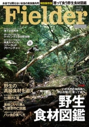 Fielder vol.18