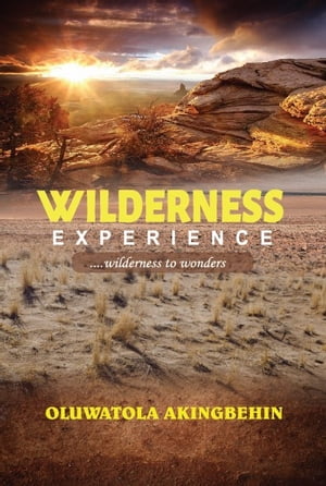 Wilderness Experience【電子書籍】[ Oluwatola Akingbehin ]