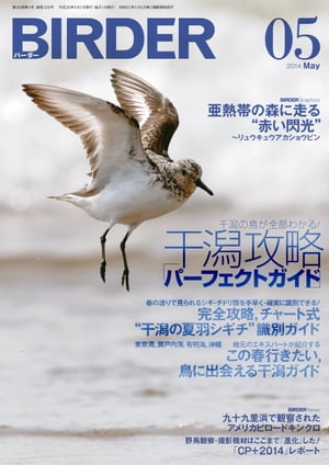 BIRDER2014年5月号