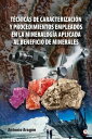 T?cnicas de caracterizaci?n y procedimientos empleados en la mineralog?a aplicada al beneficio de minerales