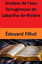 Analyse de l’eau ferrugineuse de Labarthe-de-Rivi?re