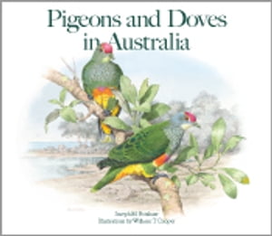 Pigeons and Doves in Australia