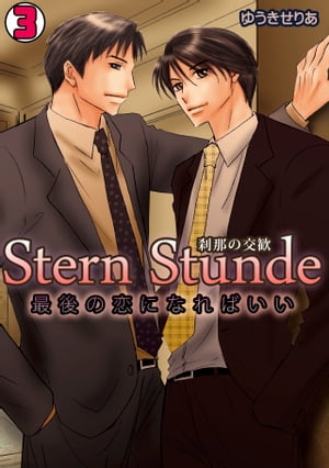 Stern Stunde-刹那の交歓〜最後の恋になればいい〜(3)