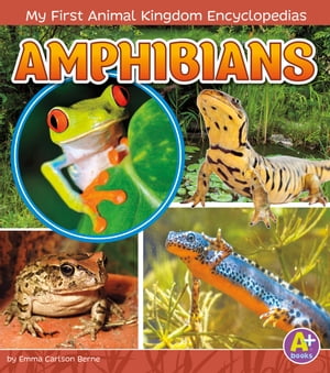 Amphibians