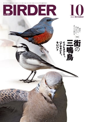 BIRDER2023年10月号