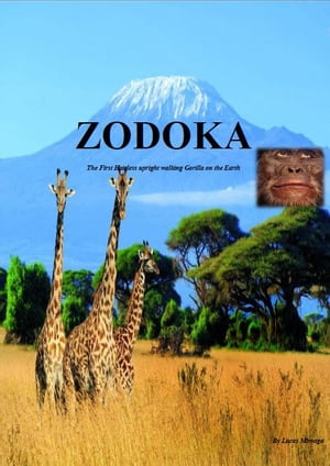 ZODOKA