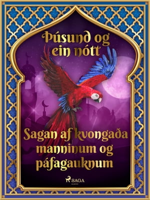 Sagan af kvongaða manninum og páfagauknum (Þúsund og ein nótt 14)