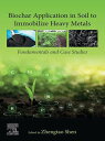 Biochar Application in Soil to Immobilize Heavy Metals Fundamentals and Case Stu...