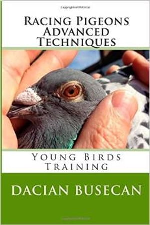 Racing Pigeons Advanced Techniques - Young Birds Training