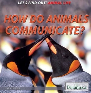How Do Animals Communicate?