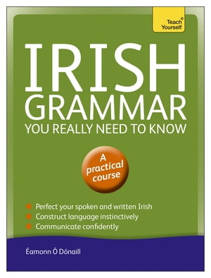 Irish Grammar You Really Need to Know: Teach Yourself