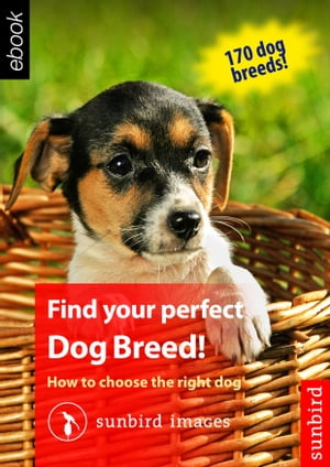 Find your perfect Dog Breed! How to choose the right dog