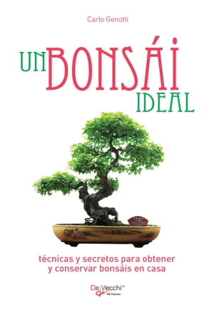 Un bonsái ideal