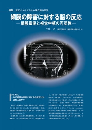網膜の障害に対する脳の反応 ー網膜損傷と視覚中枢の可塑性ー【電子書籍】[ 今村一之 ]