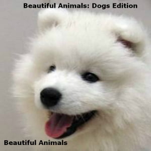 Beautiful Animals: Dogs Edition