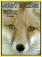 Just Fox Photos! Big Book of Fox Photographs & Pictures, Vol. 1