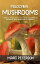 Psilocybin Mushrooms: A Step-by-Step Guide on How to Grow and Safely Use Psychedelic Magic Mushrooms for Beginners