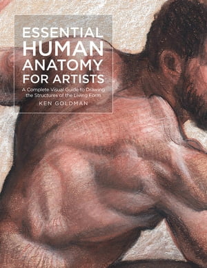 Essential Human Anatomy for Artists A Complete Visual Guide to Drawing the Structures of the Living FormŻҽҡ[ Ken Goldman ]