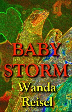 Baby Storm【電子書籍】[ Wanda Reisel ]