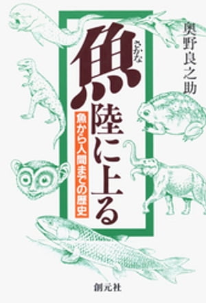 奥野良之助