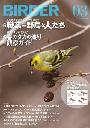 BIRDER2014年3月号