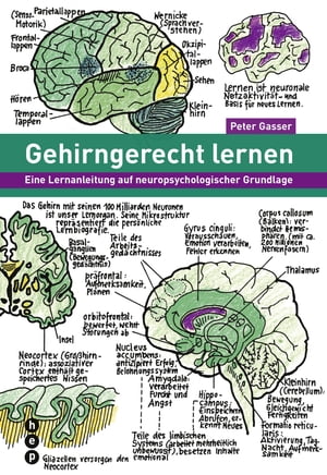 Gehirngerecht lernen (E-Book) Eine Lernanleitung auf neuropsychologischer Grundlage【電子書籍】[ Peter Gasser ]