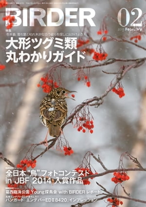 BIRDER2015年2月号