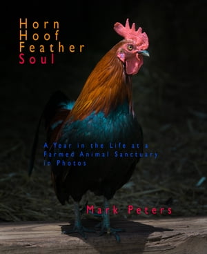 Horn Hoof Feather Soul: A Year in the Life at a Farmed Animal Sanctuary in Photos