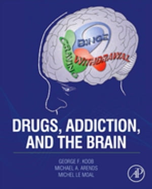 Drugs, Addiction, and the Brain